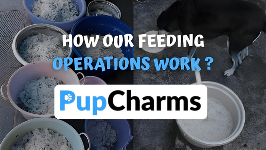 How Our Feeding Operations Work