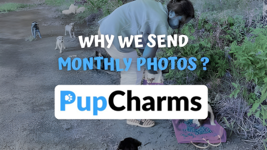 Why We Send Monthly Photos