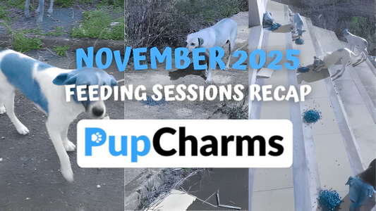 November 2025: A Month We'll Never Forget