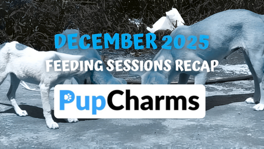 December 2025: Our Biggest Month Yet